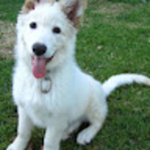 Meet your Posher, Nora